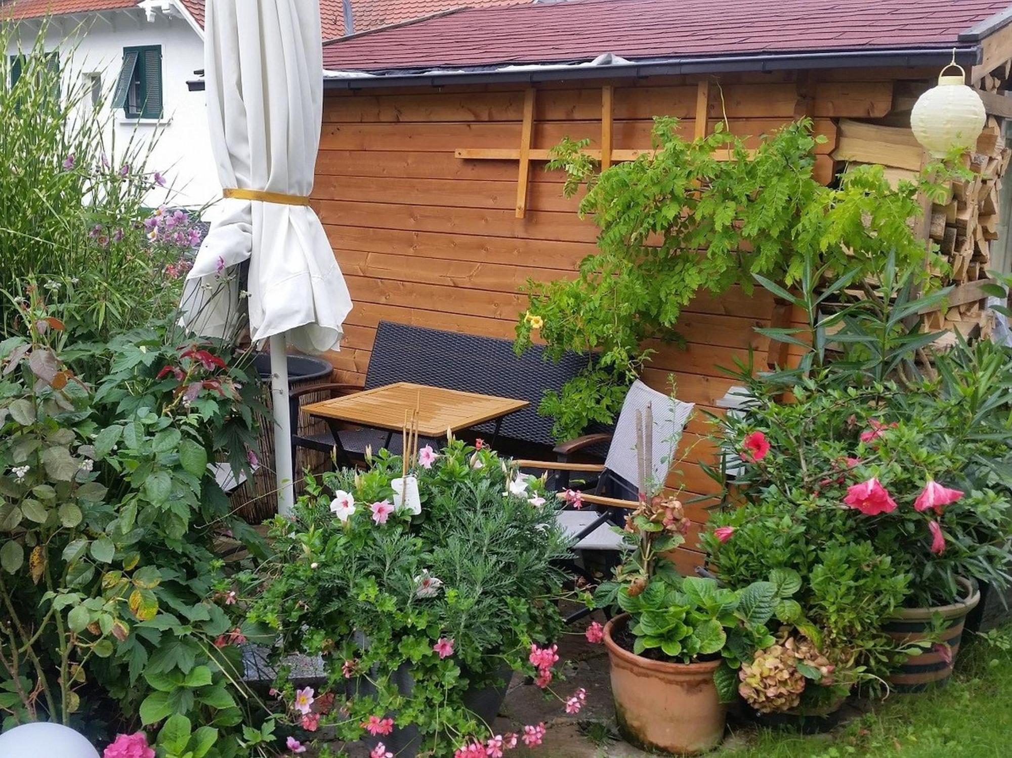 Ferienwohnung am Berg Rickenbach  Exterior foto